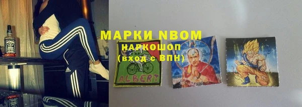 молекула духа Переславль-Залесский