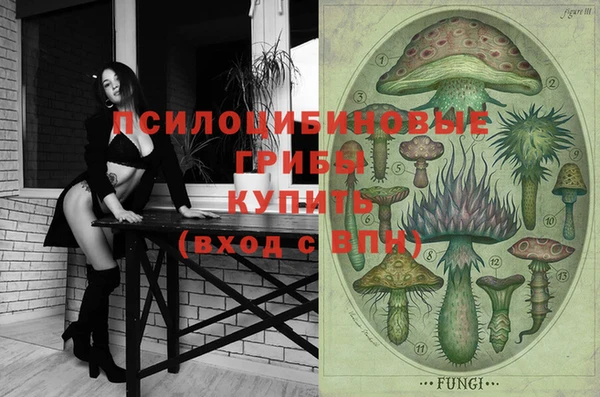 винт Покачи