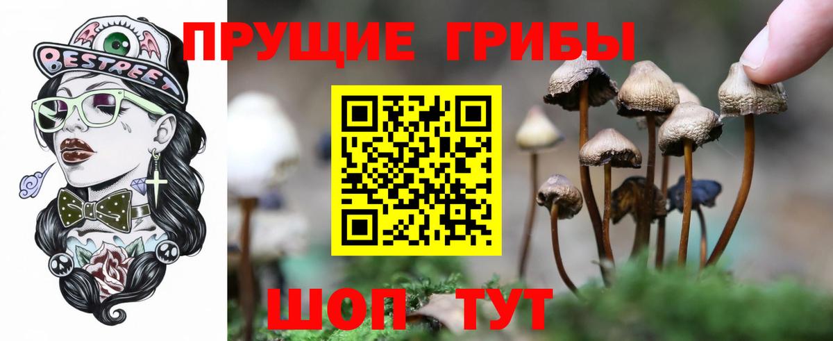 Галлюциногенные грибы Psilocybine cubensis  Вход с VPN  Сатка 